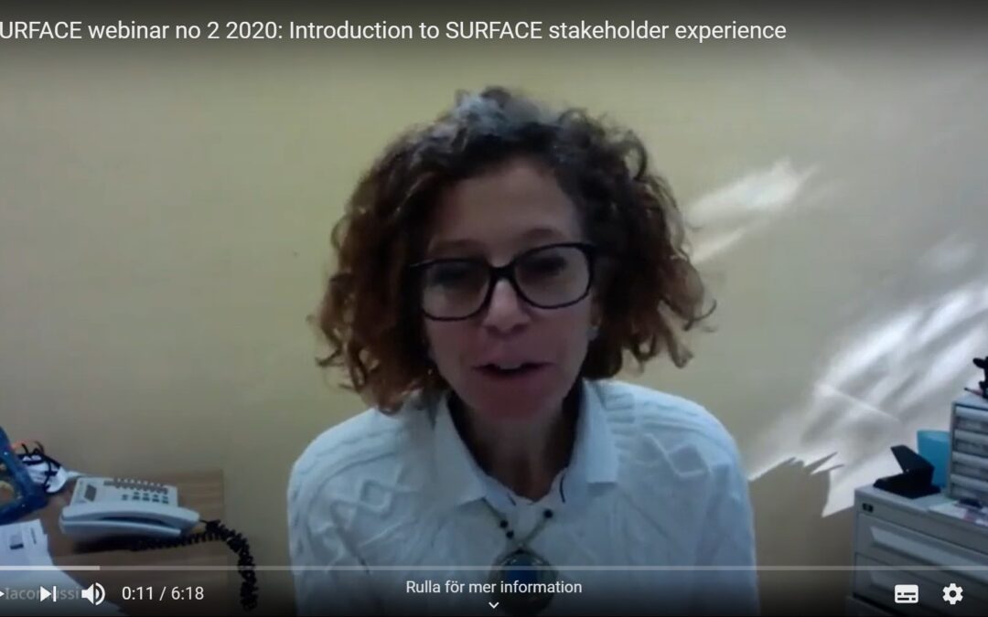 Paula Iacomussi presents at SURFACE webinar no 2